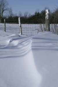 snowdrift.jpg