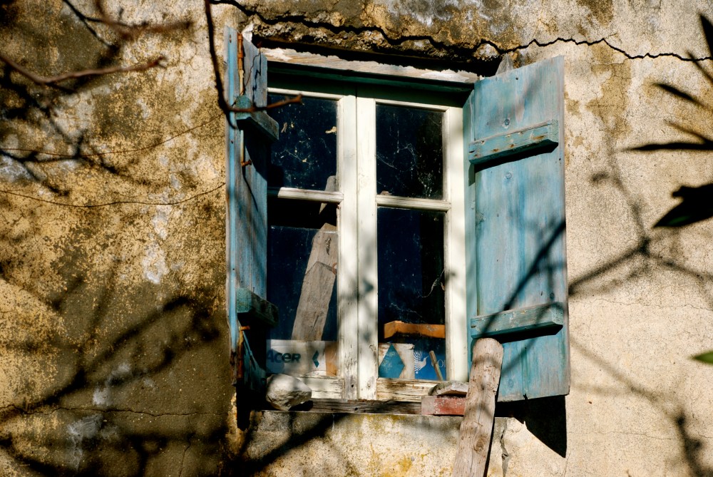 dsc_00341