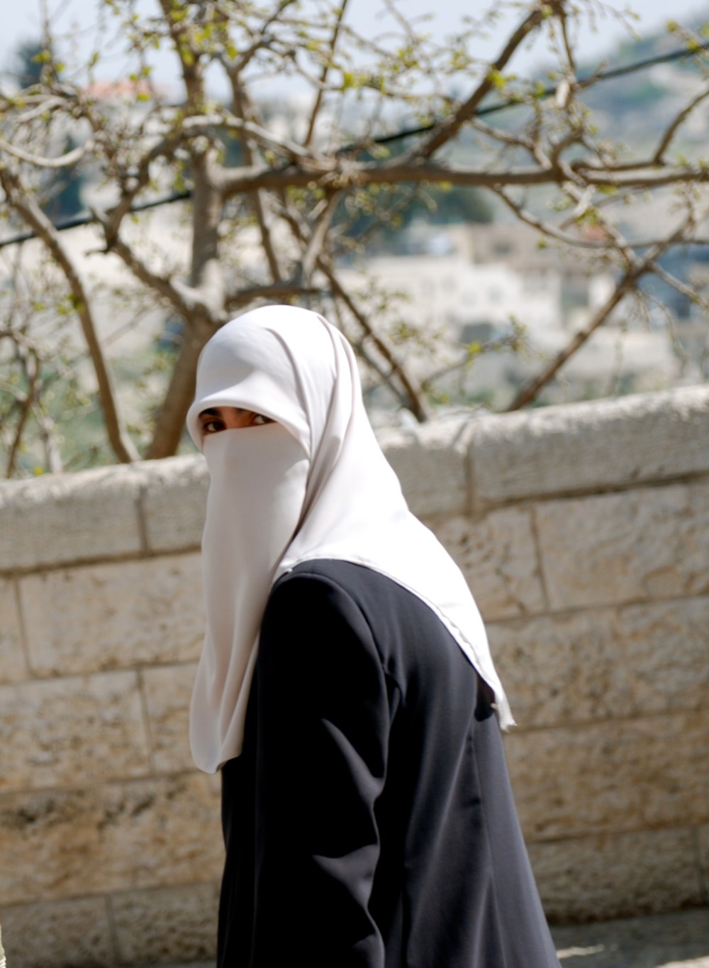 dsc_0164_2 dsc_0164_2