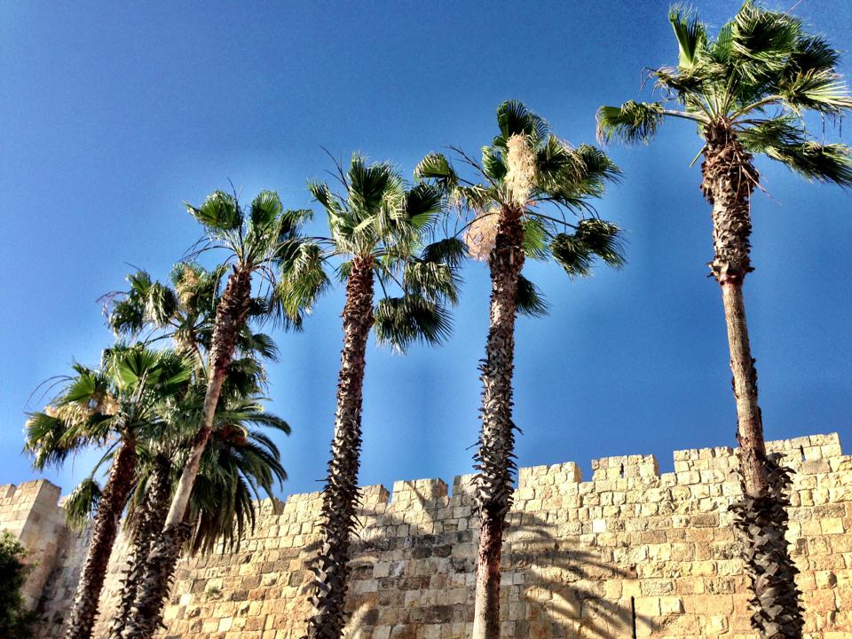 984194_10200591336020293_1765394312_n