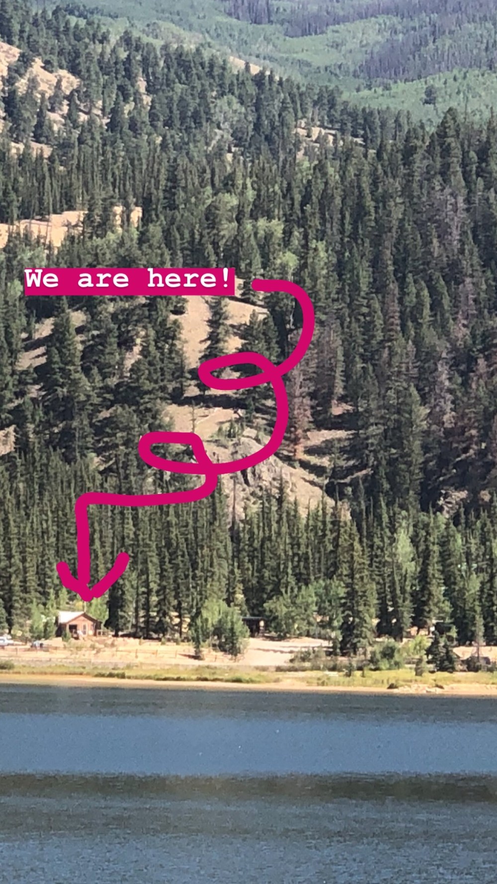 F5838233-8324-4D43-92B7-609428AA6FEF